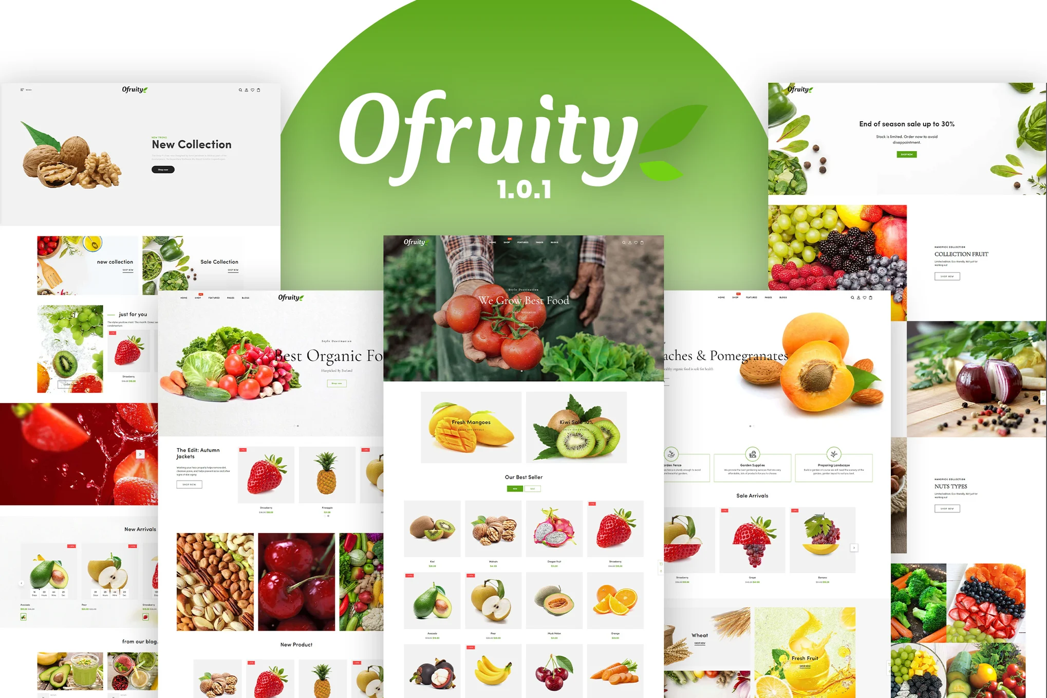 Ofruity Food Shopify Theme